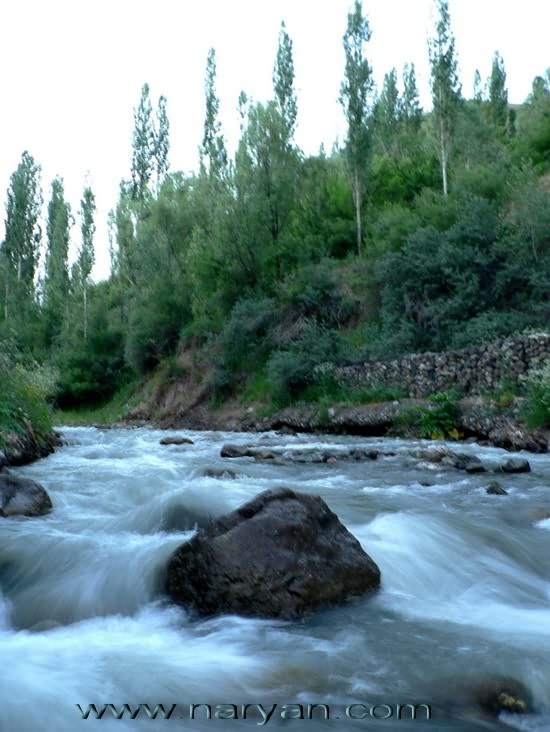 sadaf (47).jpg